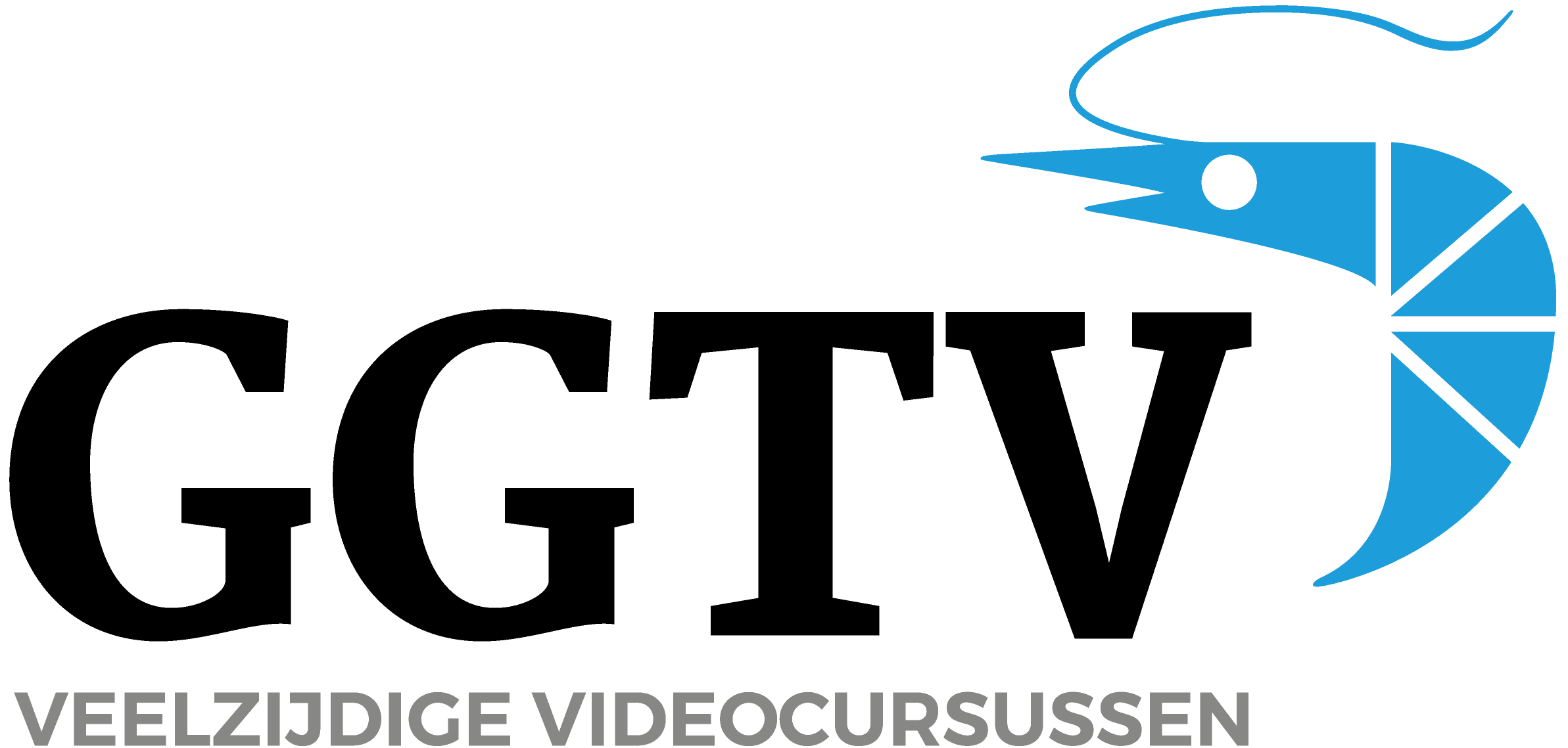 veelzijdig videocursussen